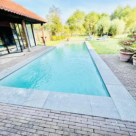 Endless Summer - Pool 克诺克－海斯特